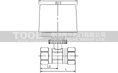 _(ki)P(gun)L(fng)CP(pn)늄(dng)yc(din)